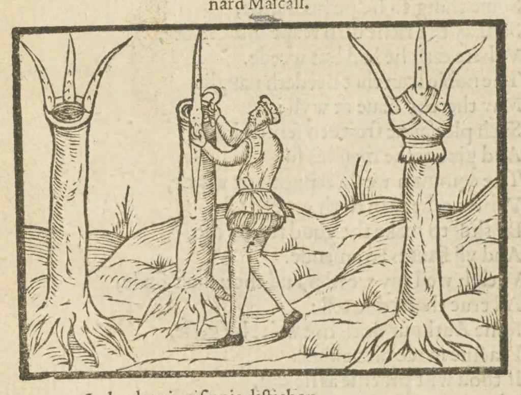 An illustration from A booke of the arte and maner how to plant and graffe all sortes of trees, how to set stones, and sowe pepins, to make wylde trees to graffe on, as also remedies and medicines : with divers other newe practises by one of the Abbey of Saint Vincent in Fraunce practised with his owne handes, deuided into seauen chapters, as hereafter more playnely shall appeare, wyth an addition in the ende of this boke, of certayne Dutch practises, 1575, leaf 3