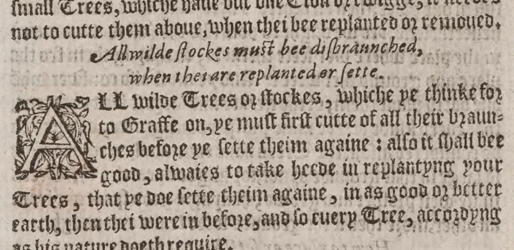 An illustration from A booke of the art and maner, howe to plante and graffe all sortes of trees : how to set stones and sowe pepins, to make wilde trees to graffe on, as also remedies and medicines. With diuers other newe practises, 1582, leaf 67
