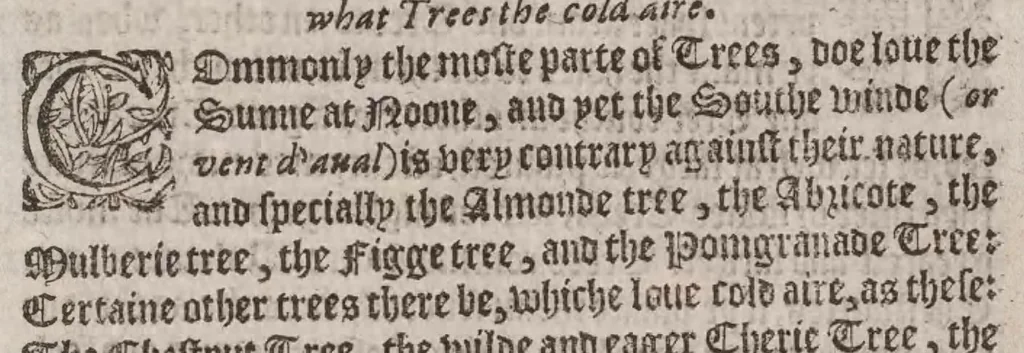 An illustration from A booke of the art and maner, howe to plante and graffe all sortes of trees : how to set stones and sowe pepins, to make wilde trees to graffe on, as also remedies and medicines. With diuers other newe practises, 1582, leaf 67