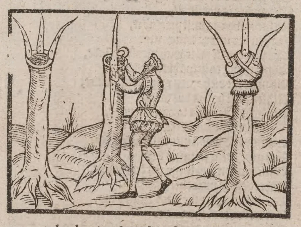 An illustration from A booke of the art and maner, howe to plante and graffe all sortes of trees : how to set stones and sowe pepins, to make wilde trees to graffe on, as also remedies and medicines. With diuers other newe practises, 1582, leaf 7