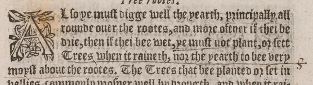 An illustration from A booke of the art and maner, howe to plante and graffe all sortes of trees : how to set stones and sowe pepins, to make wilde trees to graffe on, as also remedies and medicines. With diuers other newe practises, 1582, leaf 71