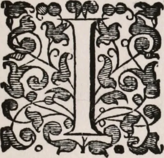 An illustration from A booke named Tectonicon, brieflie shewing the exact measuring, and speedie reckoning all manner of land, squares, timber, stone, steeples, pillers, globes, etc. ... With other things pleasant and necessarie, most conducible for surueyers, landmeaters, ioyners, carpenters, and masons, 1605, leaf 30