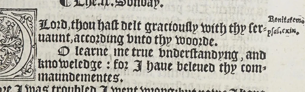 An illustration from The booke of the common prayer and administracion of the sacramentes, and other rites and ceremonies of the churche: after the vse of the Churche of England., 1549, leaf 173