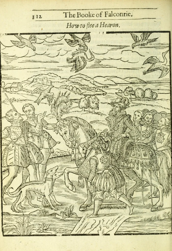 An illustration from The booke of falconrie or hawking : for the onely delight and pleasure of all noblemen and gentlemen : collected out of the best authors, aswell Italians as Frenchmen, and some English practises withall concerning falconrie, 1611, leaf 130