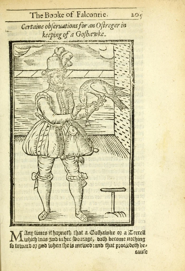 An illustration from The booke of falconrie or hawking : for the onely delight and pleasure of all noblemen and gentlemen : collected out of the best authors, aswell Italians as Frenchmen, and some English practises withall concerning falconrie, 1611, leaf 223