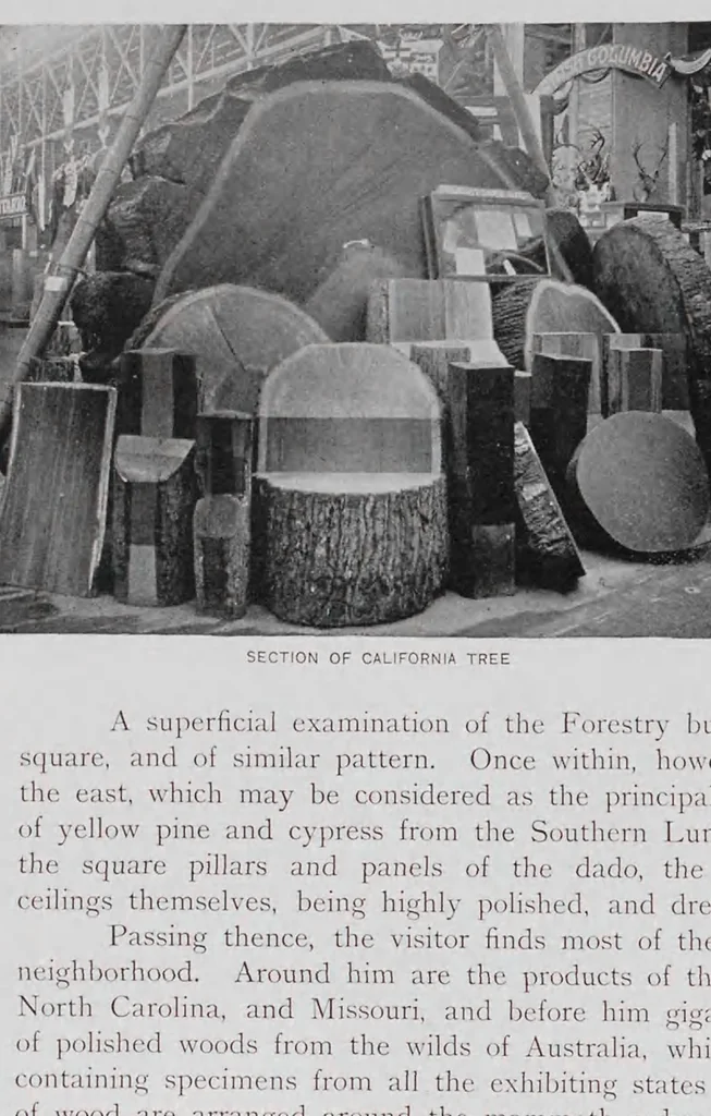 An illustration from The book of the fair; an historical and descriptive presentation of the world's science, art, and industry, as viewed through the Columbian Exposition at Chicago in 1893 .., 1895, leaf 118
