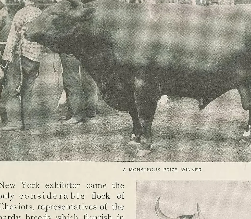 An illustration from The book of the fair; an historical and descriptive presentation of the world's science, art, and industry, as viewed through the Columbian Exposition at Chicago in 1893, 1893, leaf 27