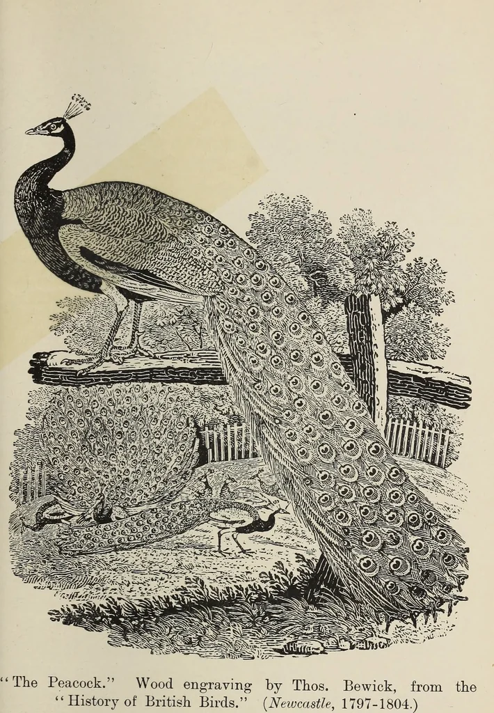 An illustration from The book : its history and development, 1907, leaf 130
