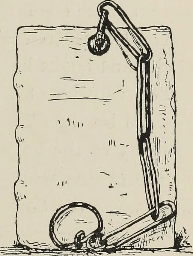An illustration from The book : its history and development, 1907, leaf 186