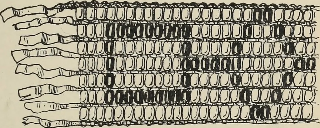 An illustration from The book : its history and development, 1907, leaf 26