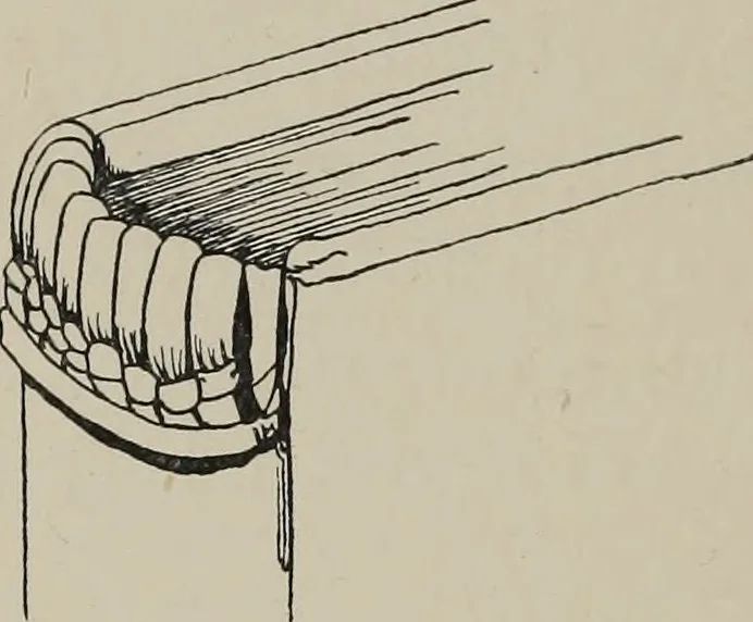 An illustration from The book : its history and development, 1907, leaf 53