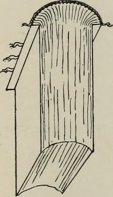 An illustration from The book : its history and development, 1907, leaf 56