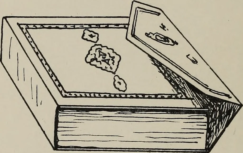 An illustration from The book : its history and development, 1907, leaf 73