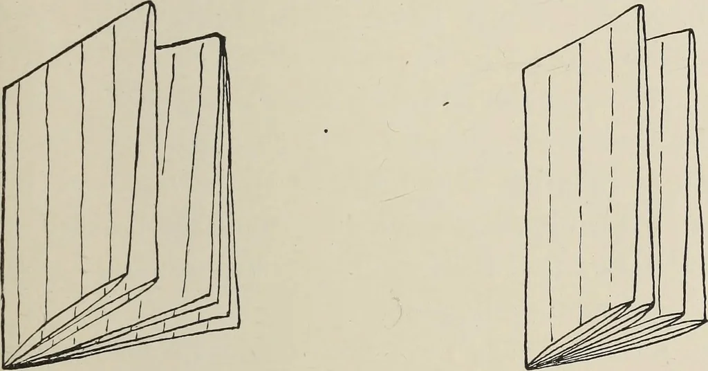 An illustration from The book : its history and development, 1907, leaf 88