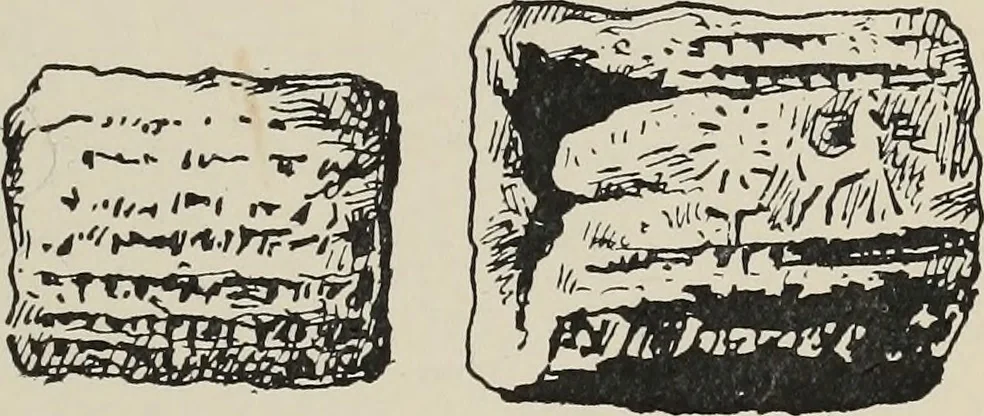 An illustration from The book : its history and development, 1907, leaf 98