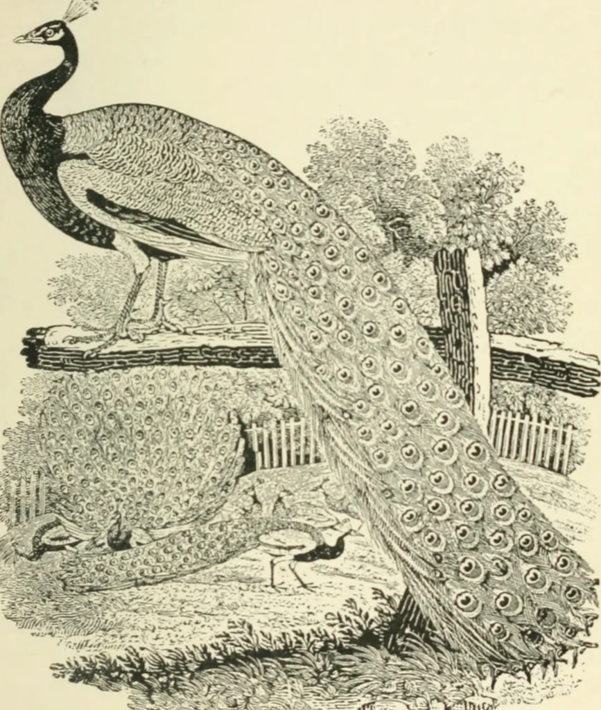 An illustration from The book, its history and development, 1907, leaf 130