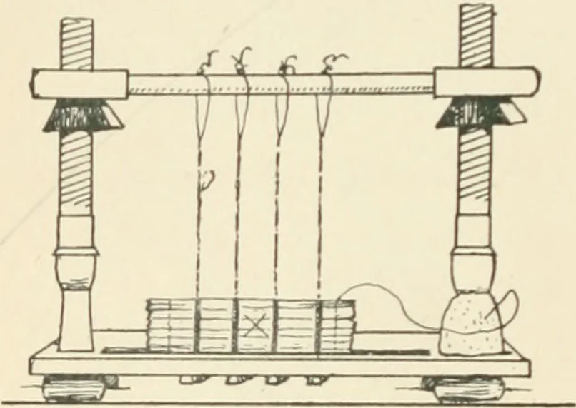 An illustration from The book, its history and development, 1907, leaf 47