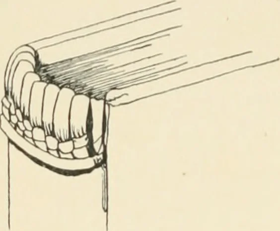 An illustration from The book, its history and development, 1907, leaf 53