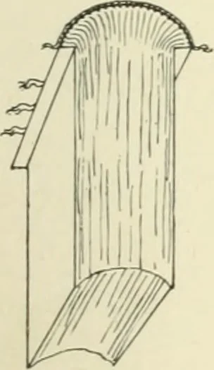 An illustration from The book, its history and development, 1907, leaf 56