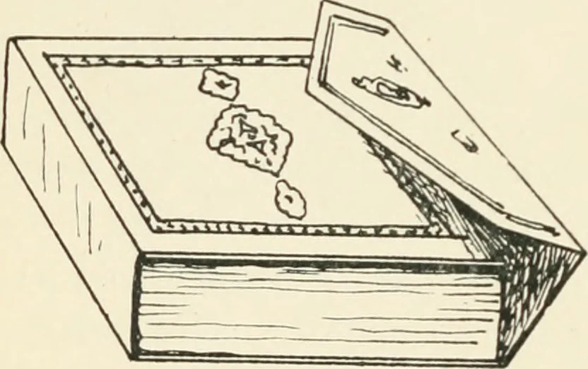 An illustration from The book, its history and development, 1907, leaf 73