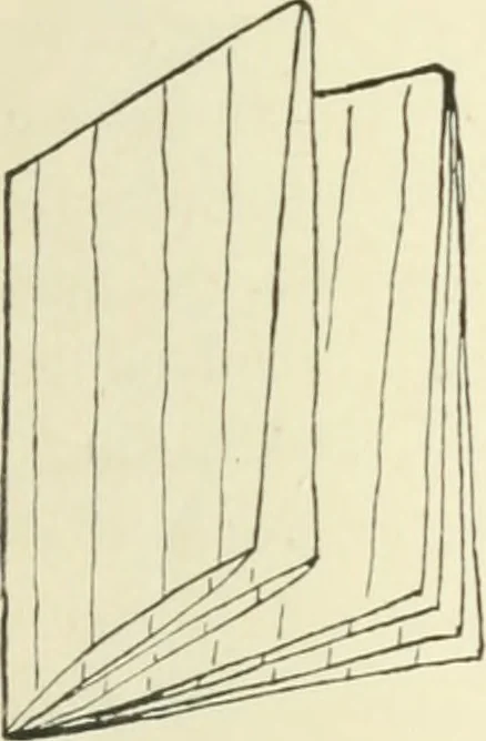An illustration from The book, its history and development, 1907, leaf 88