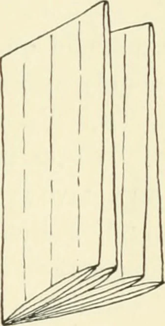 An illustration from The book, its history and development, 1907, leaf 88