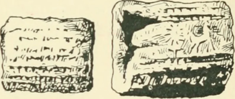An illustration from The book, its history and development, 1907, leaf 98