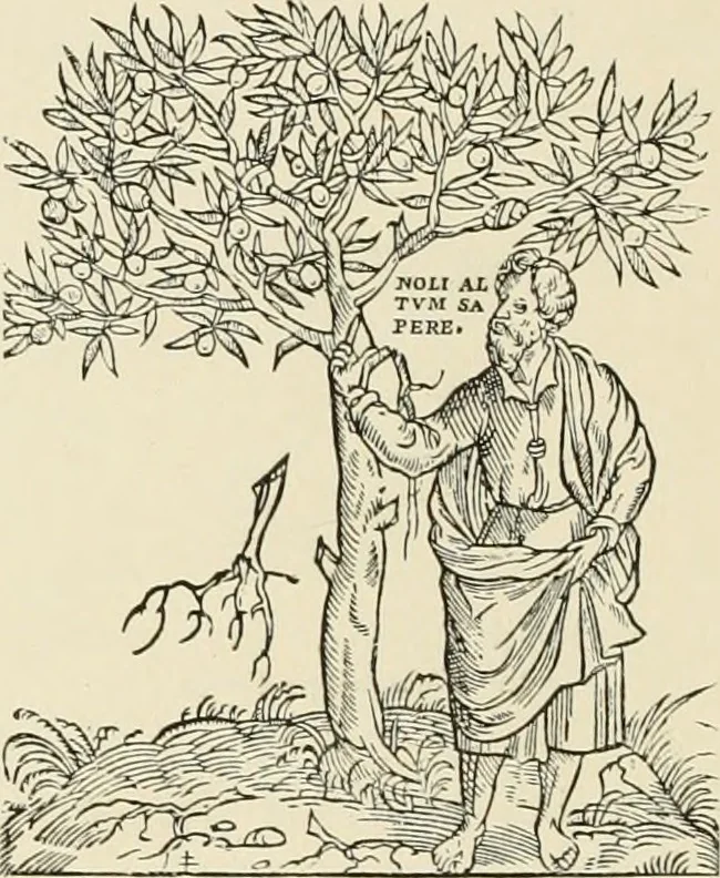 An illustration from The book: its printers, illustrators, and binders, from Gutenberg to the present time, 1890, leaf 157