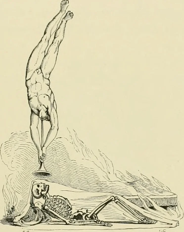 An illustration from The book: its printers, illustrators, and binders, from Gutenberg to the present time, 1890, leaf 240