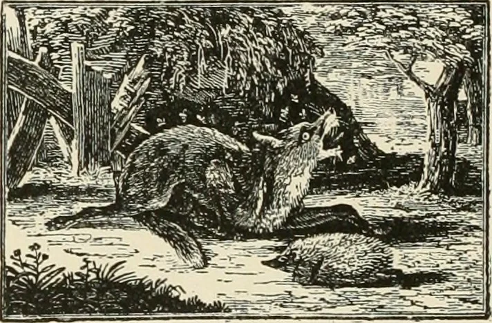 An illustration from The book: its printers, illustrators, and binders, from Gutenberg to the present time, 1890, leaf 243