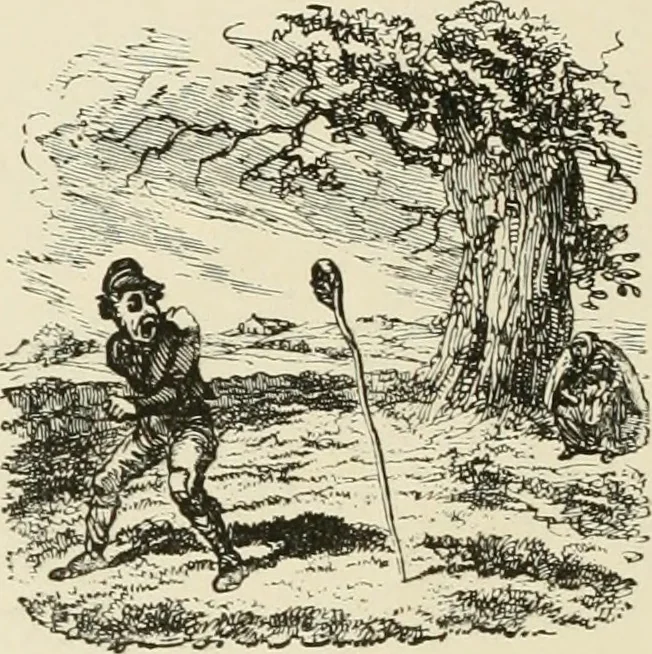 An illustration from The book: its printers, illustrators, and binders, from Gutenberg to the present time, 1890, leaf 263