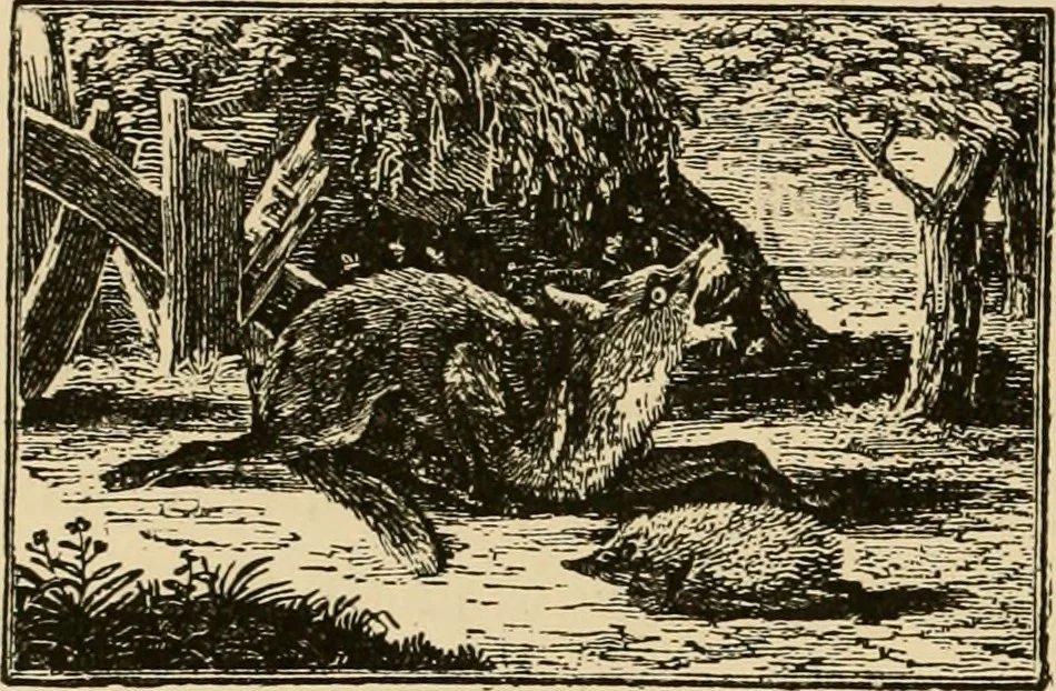 An illustration from The book; its printers, illustrators, and binders, from Gutenberg to the present time, 1890, leaf 243