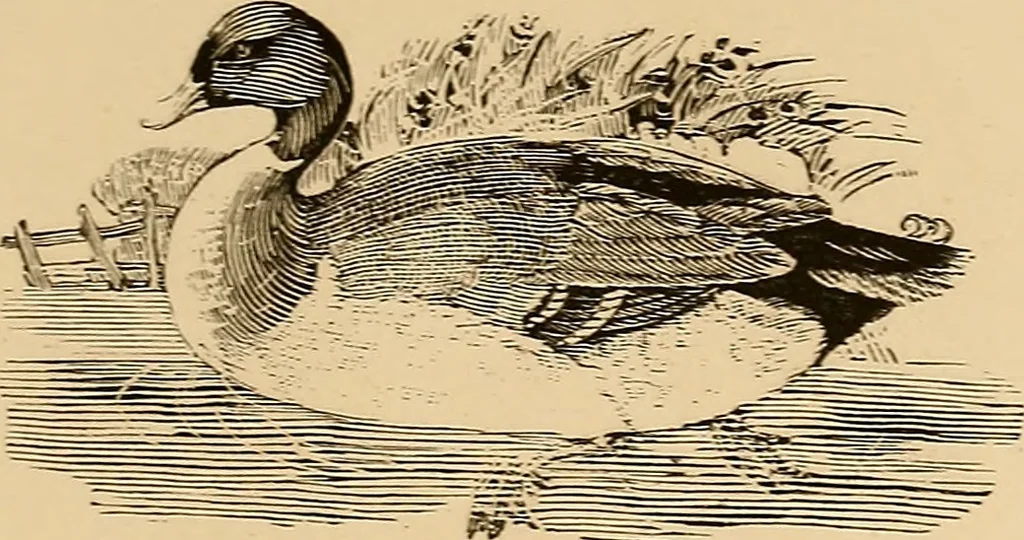 An illustration from The book; its printers, illustrators, and binders, from Gutenberg to the present time, 1890, leaf 246