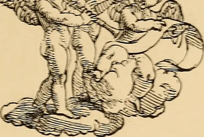 An illustration from The book; its printers, illustrators, and binders, from Gutenberg to the present time, 1890, leaf 264