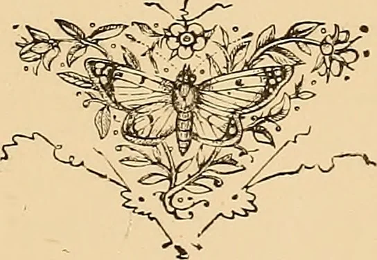 An illustration from The book; its printers, illustrators, and binders, from Gutenberg to the present time, 1890, leaf 340