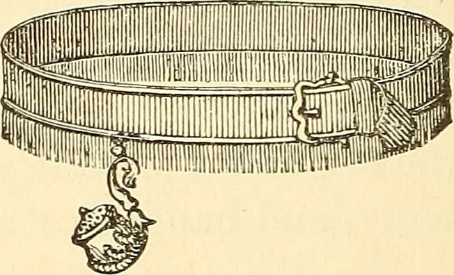 An illustration from The book of the Ancient and accepted Scottish rite of freemasonry, 1899, leaf 353