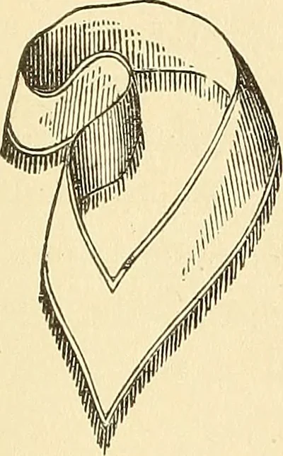 An illustration from The book of the Ancient and accepted Scottish rite of freemasonry, 1899, leaf 434