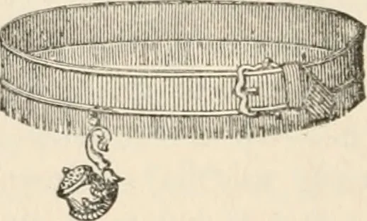 An illustration from The book of the ancient and accepted Scottish rite of freemasonry : containing instructions in all the degrees from the third to the thirty-third, and last degree of the rite : together with ceremonies of inauguration ... etc., 1914, leaf 353