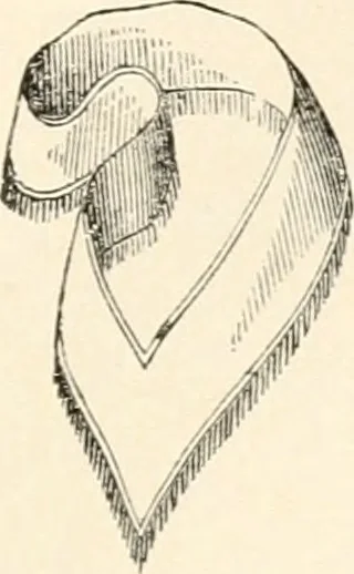An illustration from The book of the ancient and accepted Scottish rite of freemasonry : containing instructions in all the degrees from the third to the thirty-third, and last degree of the rite : together with ceremonies of inauguration ... etc., 1914, leaf 434