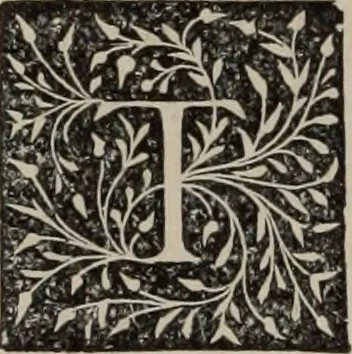 An illustration from Book of the artists : American artist life, comprising biographical and critical sketches of American artists : preceded by an historical account of the rise and progress of art in America, 1870, leaf 383