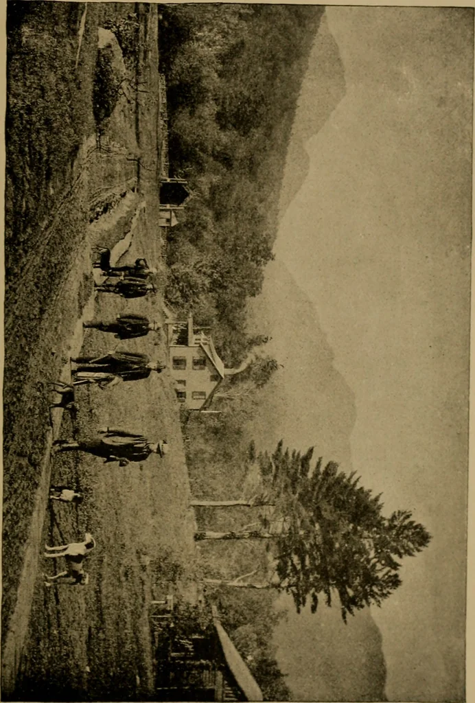 An illustration from The book of athletics and out-of-door sports .., 1895, leaf 136