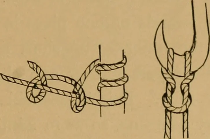 An illustration from The book of athletics and out-of-door sports .., 1895, leaf 292