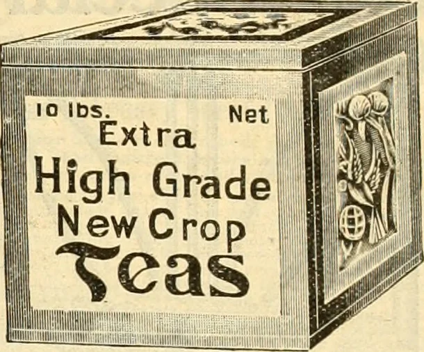 An illustration from book of bargains : for the month of February only, A, 1909, leaf 14