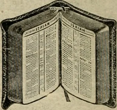 An illustration from book of bargains : for the month of February only, A, 1909, leaf 19