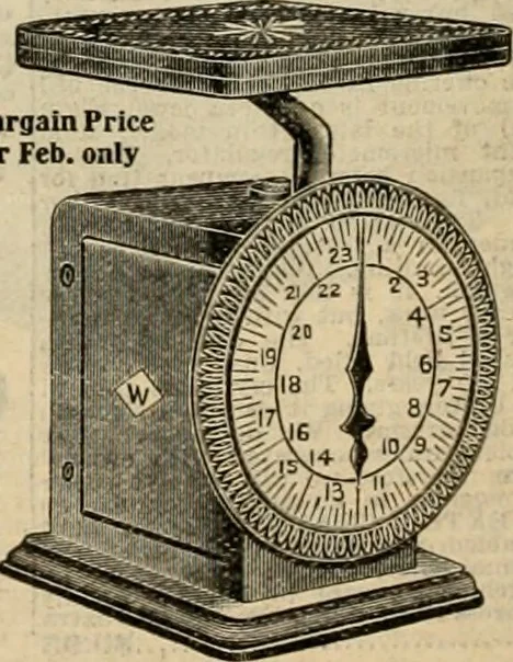 An illustration from book of bargains : for the month of February only, A, 1909, leaf 29