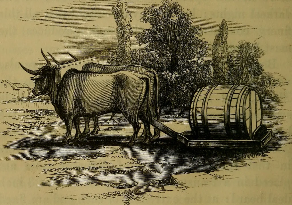 An illustration from The Book of carriages; or, A short account of modes of conveyance, from the earliest periods to the present time, 1853, leaf 141