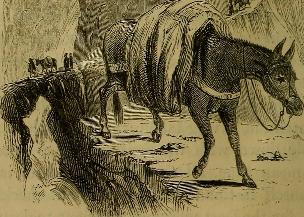 An illustration from The Book of carriages; or, A short account of modes of conveyance, from the earliest periods to the present time, 1853, leaf 169