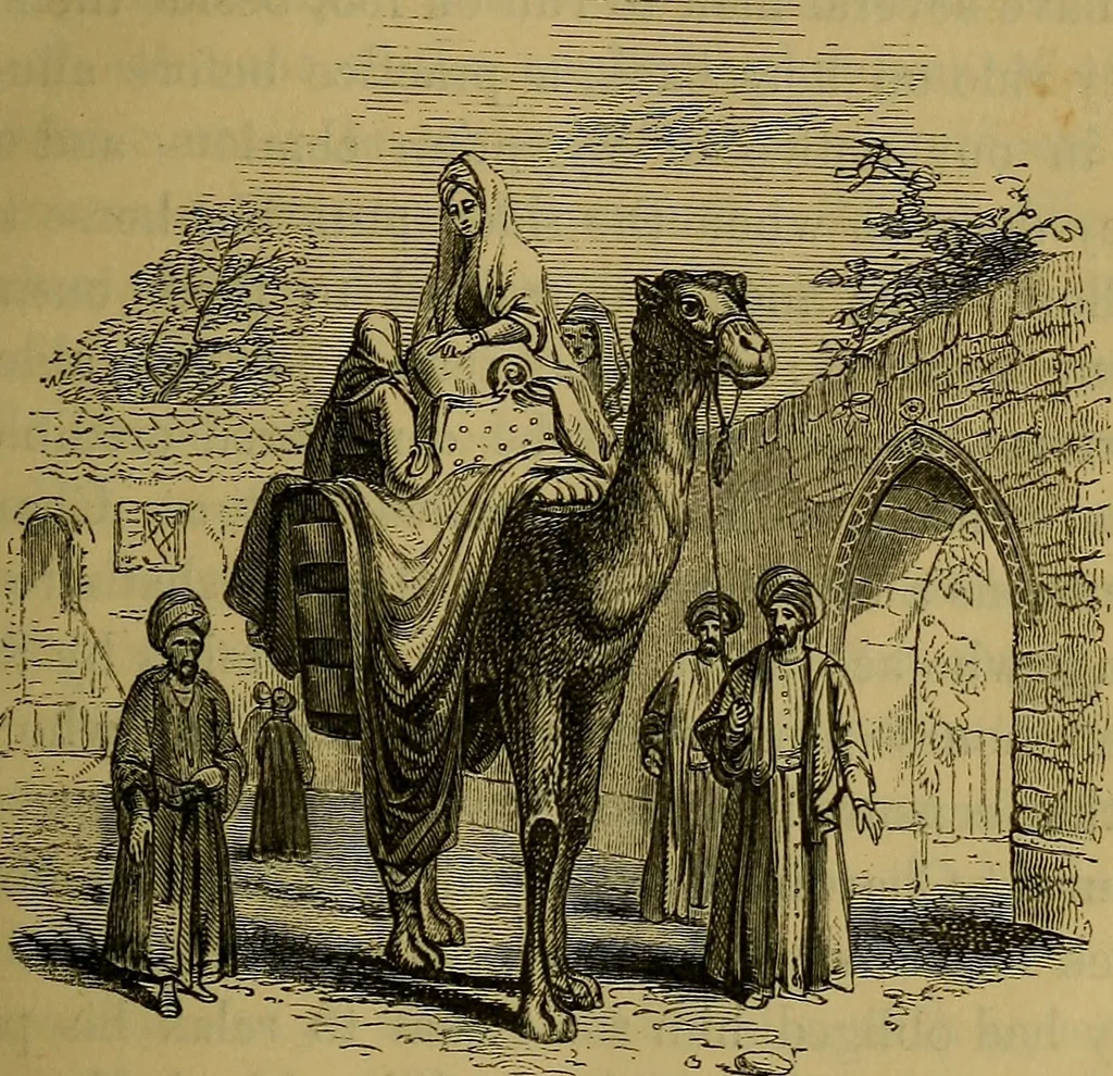An illustration from The Book of carriages; or, A short account of modes of conveyance, from the earliest periods to the present time, 1853, leaf 32