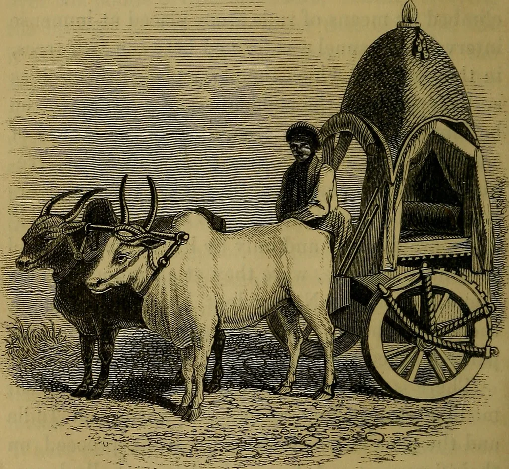 An illustration from The Book of carriages; or, A short account of modes of conveyance, from the earliest periods to the present time, 1853, leaf 63