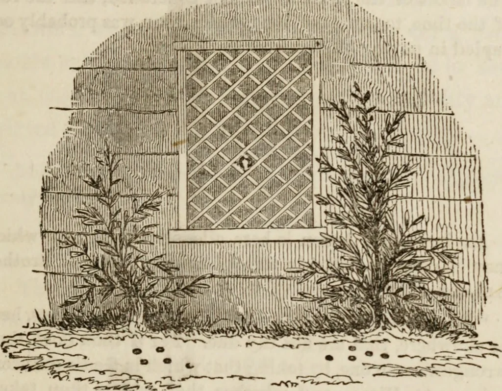 An illustration from The book of the chapter : or, Monitorial instructions, in the degrees of mark, past and most excellent master, and the holy Royal arch, 1865, leaf 30
